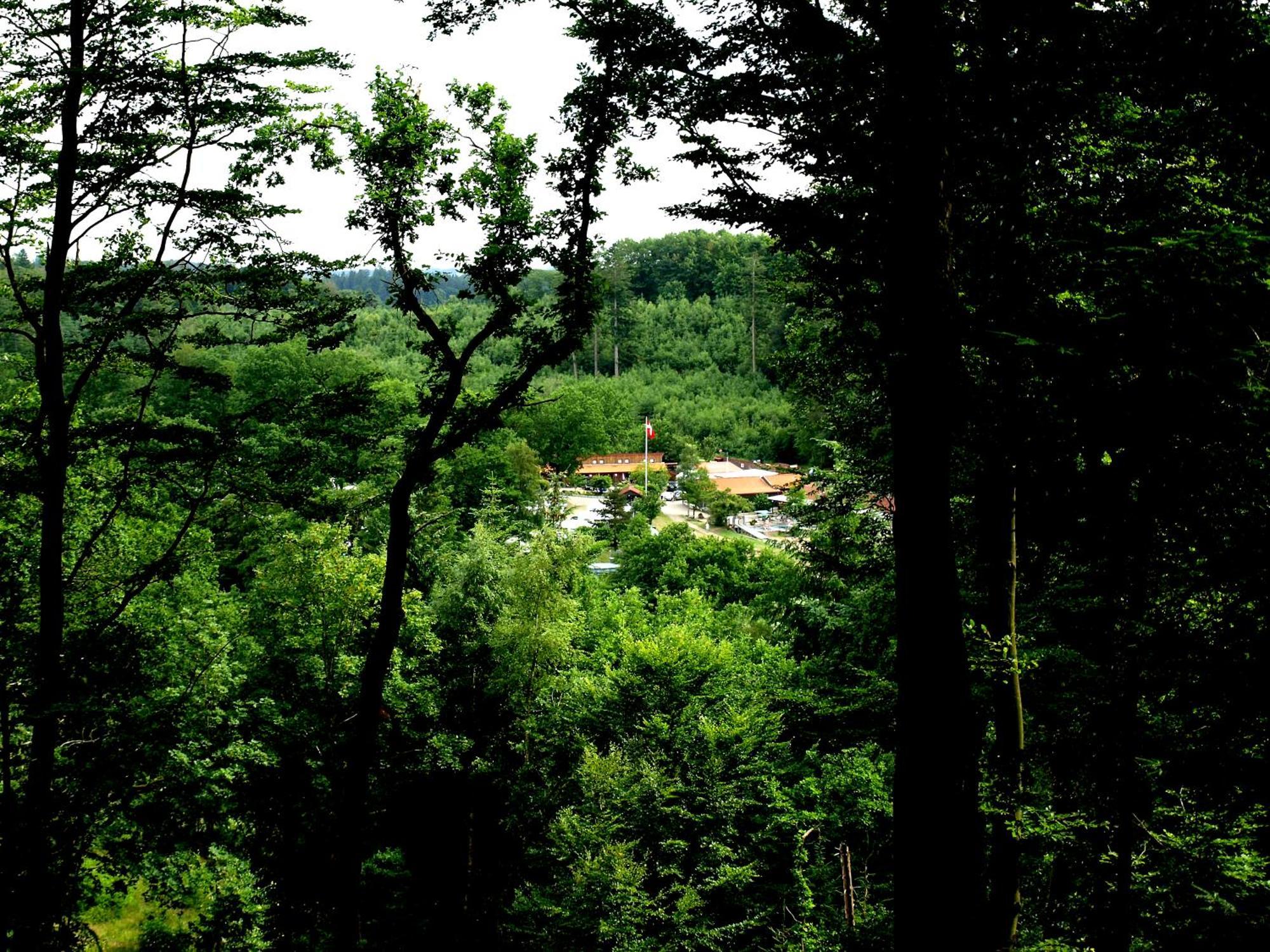 Randboldal Camping & Cabins Ngoại thất bức ảnh