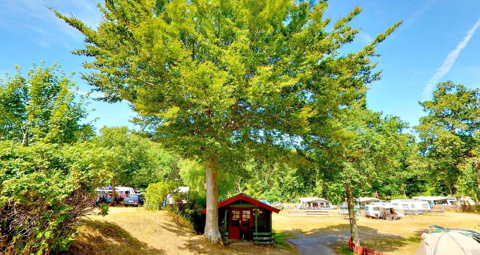 Randboldal Camping & Cabins Ngoại thất bức ảnh