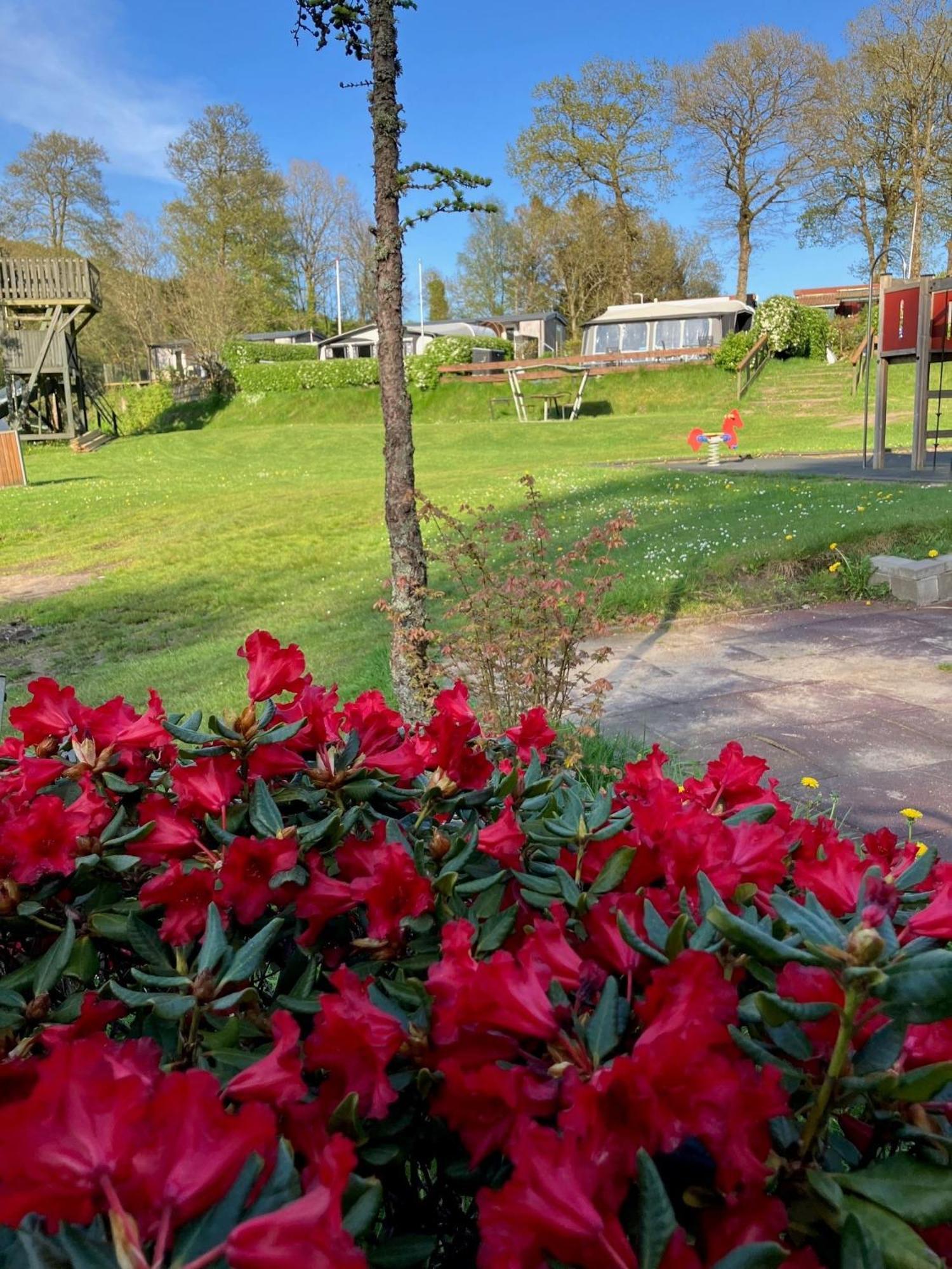 Randboldal Camping & Cabins Ngoại thất bức ảnh